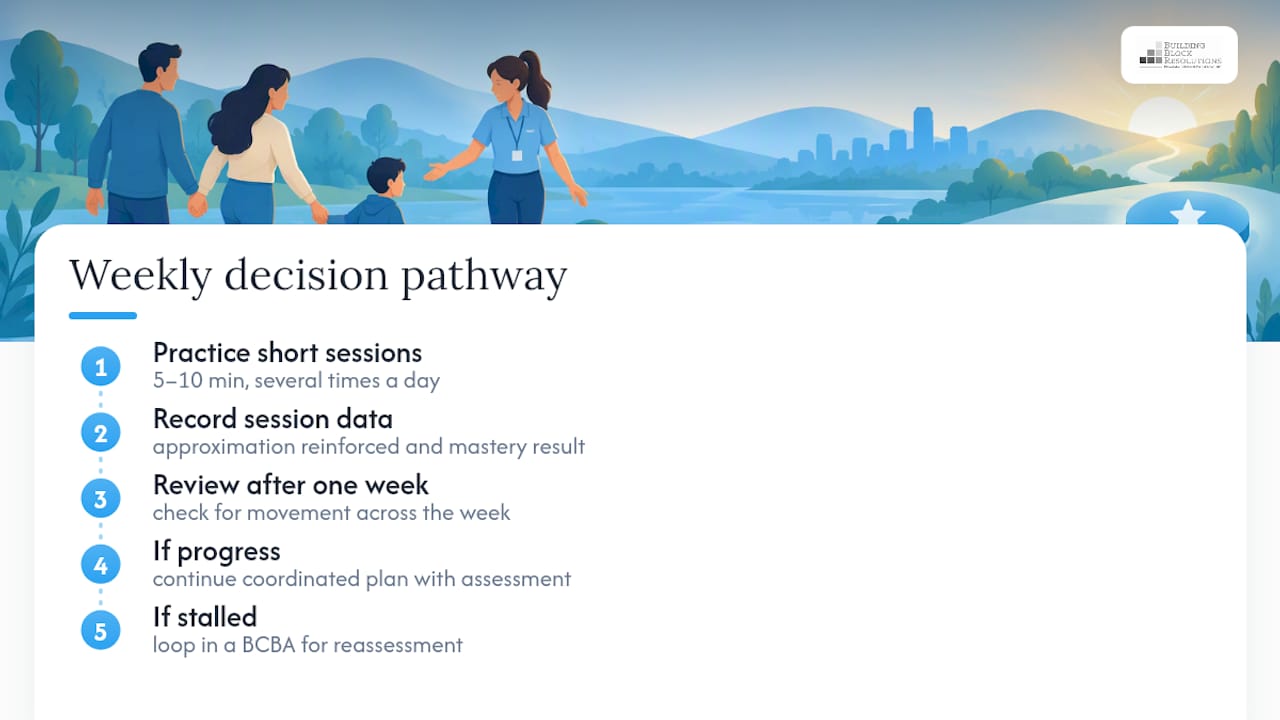ABA progress tracking and decision pathway