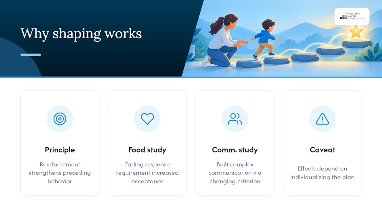 Why Does Shaping Actually Work? — overview diagram