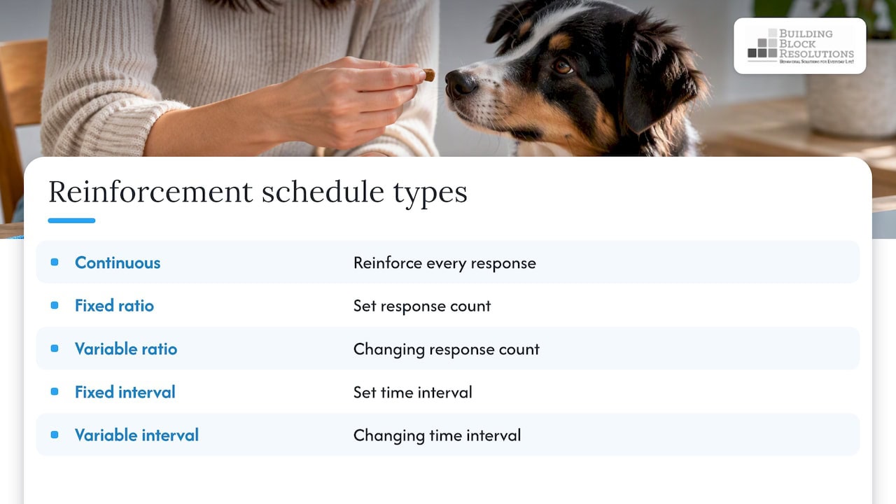 Five reinforcement schedules by response and time