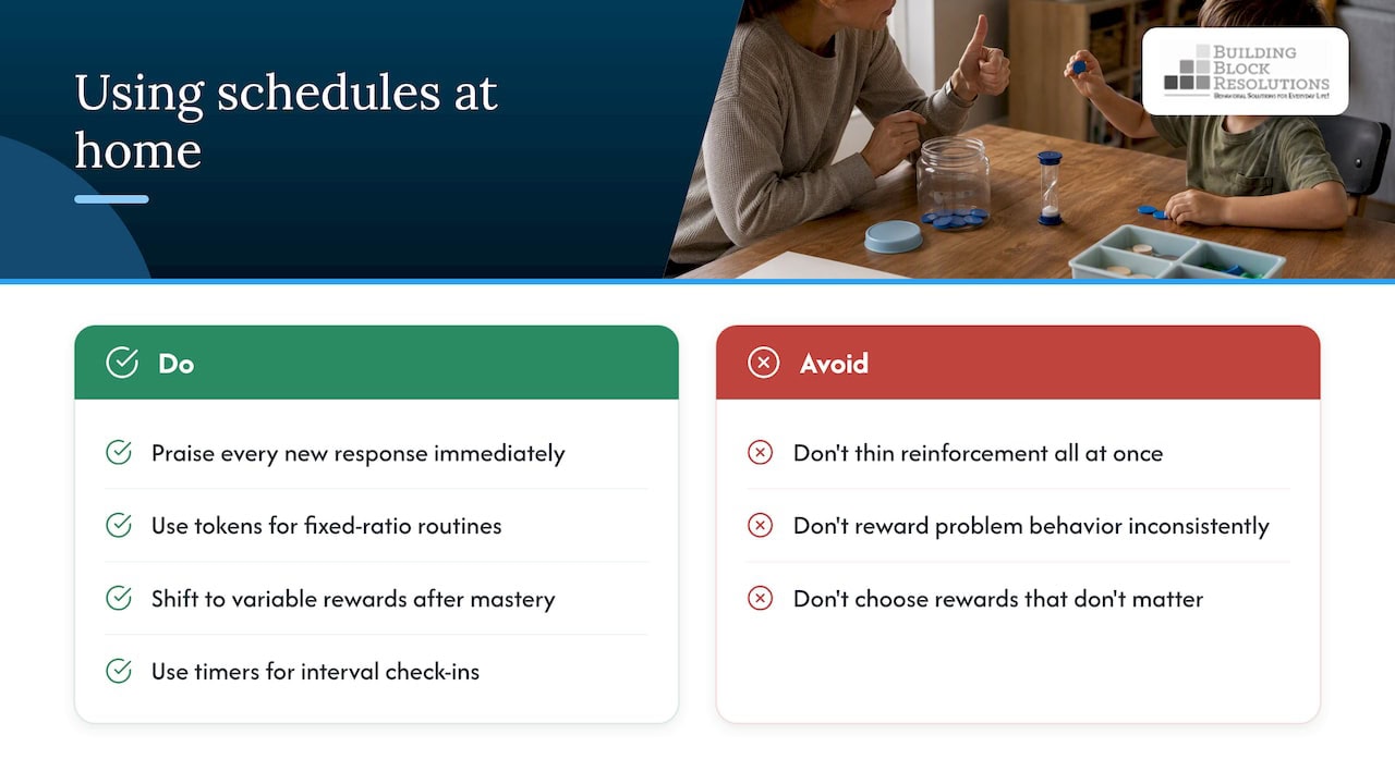 Reinforcement schedules at home — overview diagram